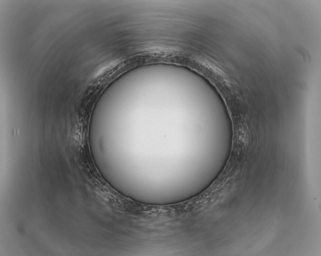 X0000112060869200908111410