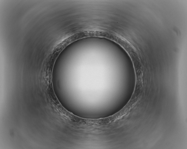 X0000112060870200908111410