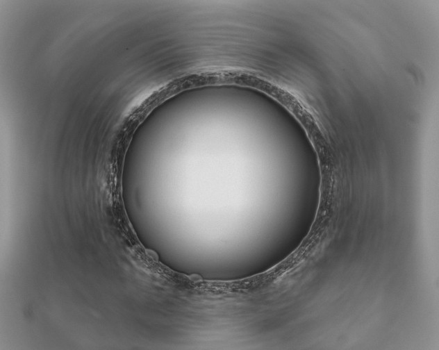 X0000112060871200908111410