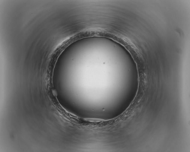 X0000112060872200908111410