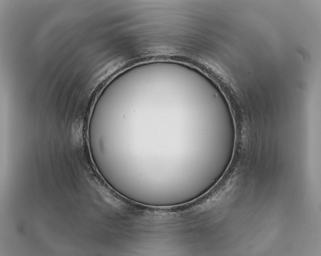 X0000112060873200908111410