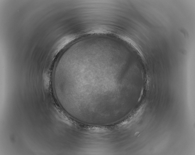X0000112060874200908111410