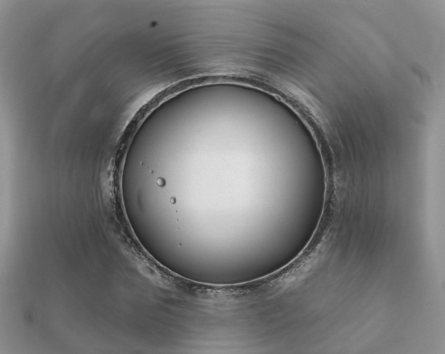 X0000112060875200908111410