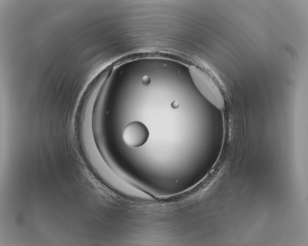 X0000112060876200908111410
