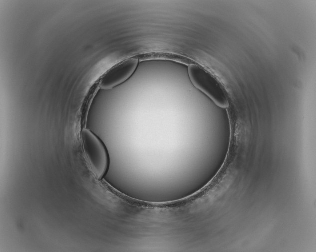 X0000112060877200908111410