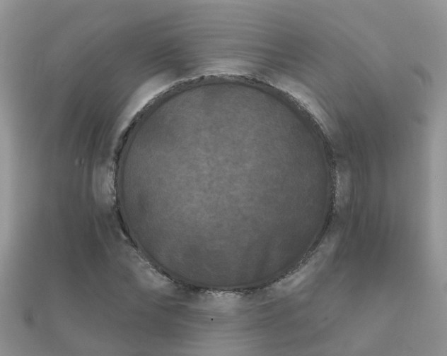 X0000112060878200908111410