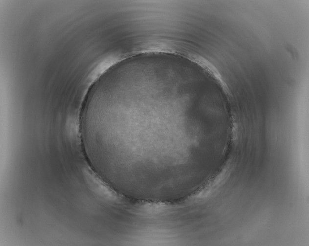 X0000112060882200908111410