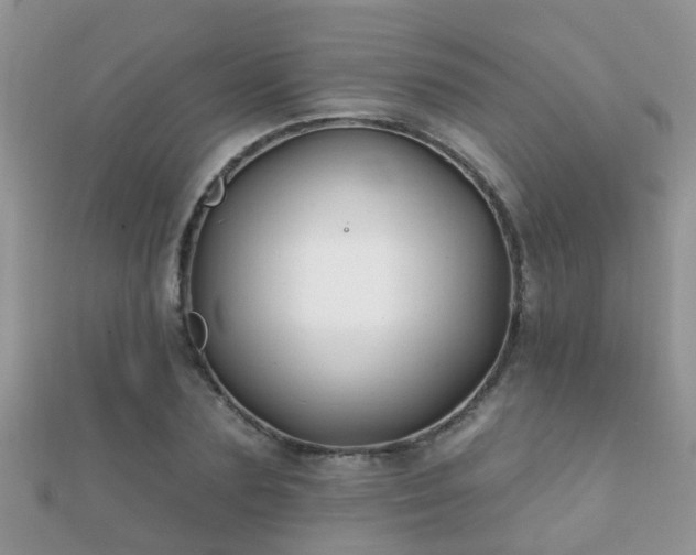 X0000112060883200908111410