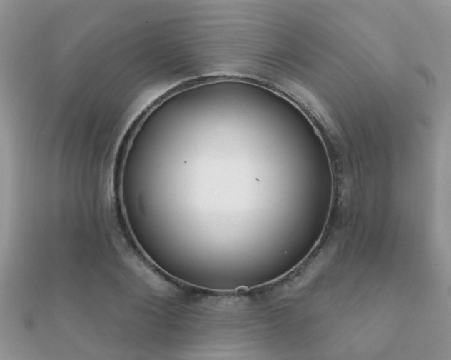 X0000112060884200908111410