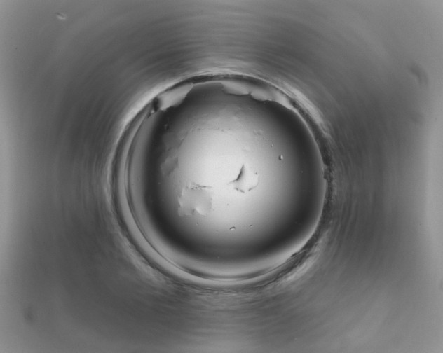 X0000112060885200908111410