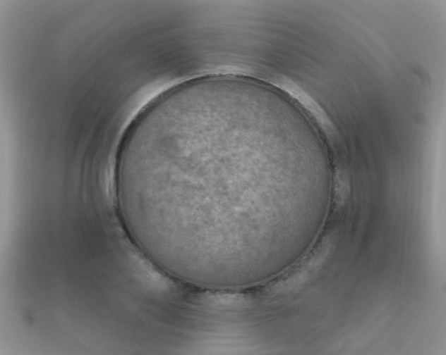 X0000112060886200908111410