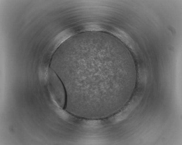 X0000112060889200908111410