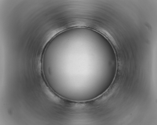 X0000112060890200908111410