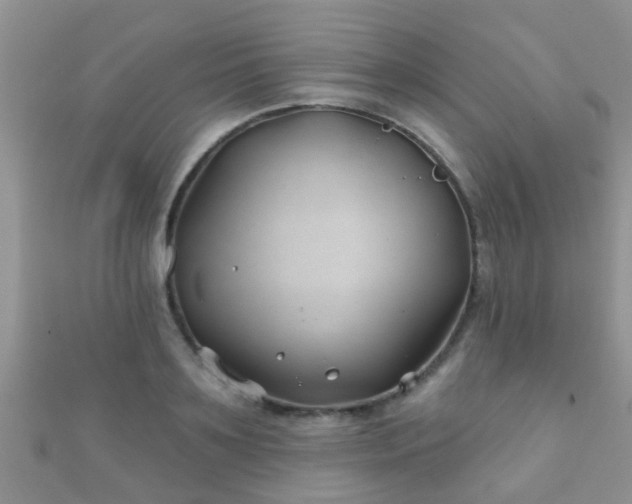 X0000112060891200908111410