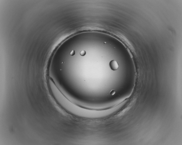 X0000112060893200908111410