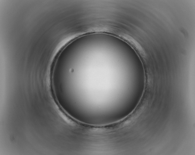 X0000112060894200908111410