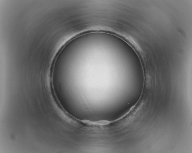 X0000112060895200908111410