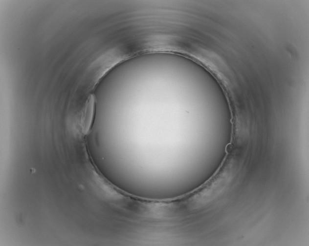 X0000112060897200908111410