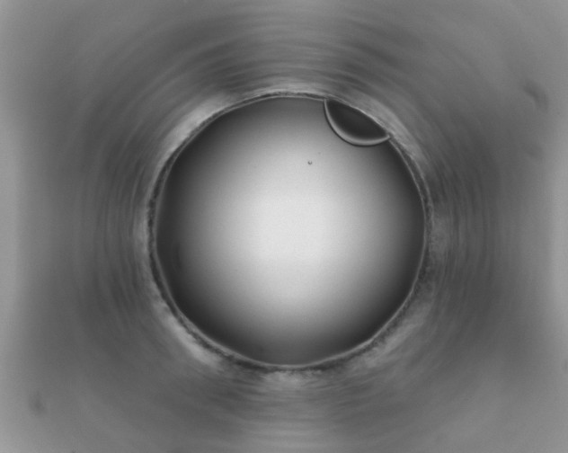 X0000112060898200908111410