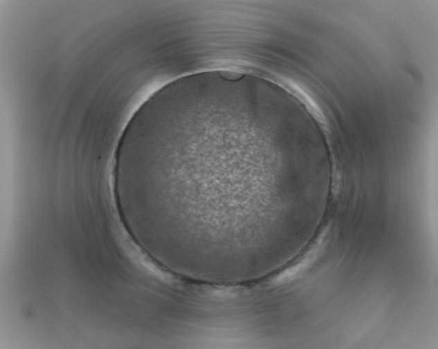 X0000112060899200908111410