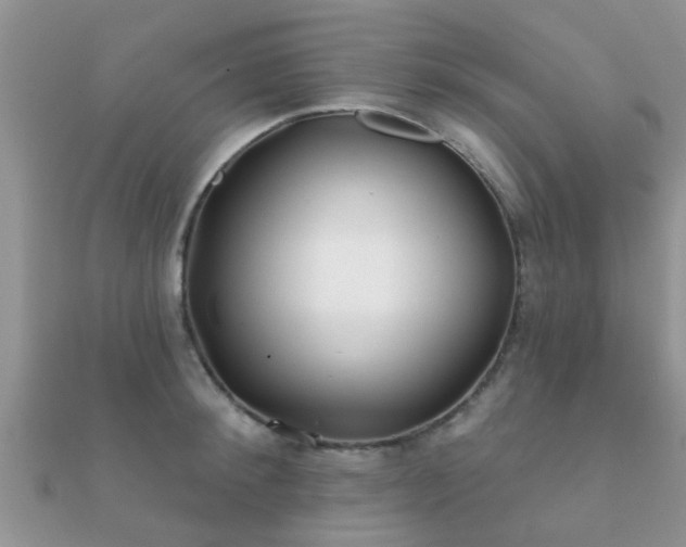 X0000112060900200908111410