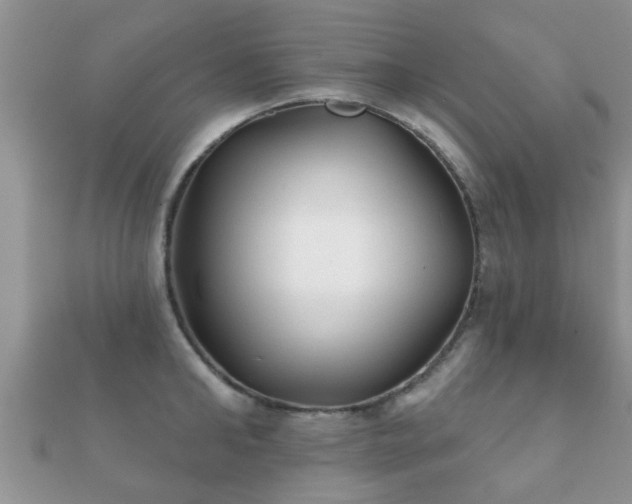 X0000112060902200908111410