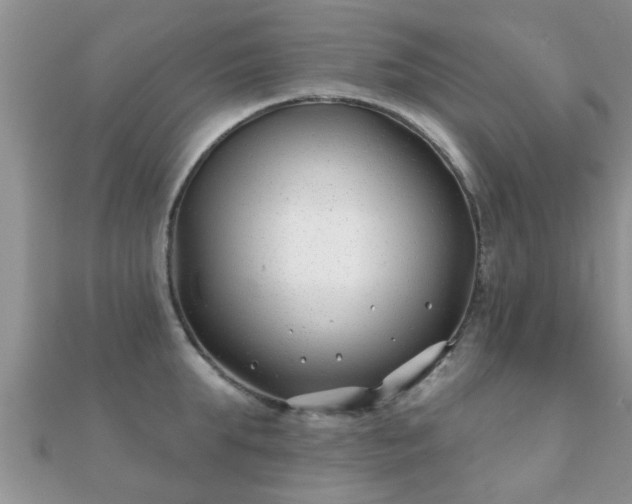 X0000112060903200908111409