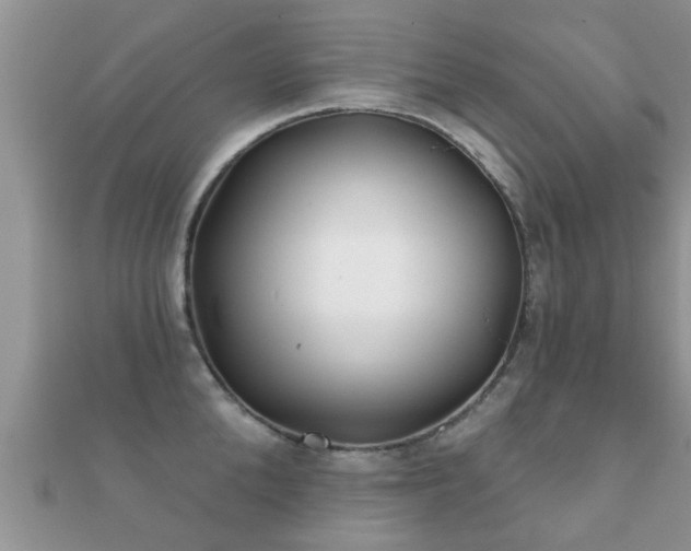 X0000112060904200908111409