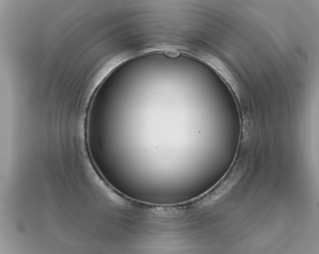 X0000112060906200908111409