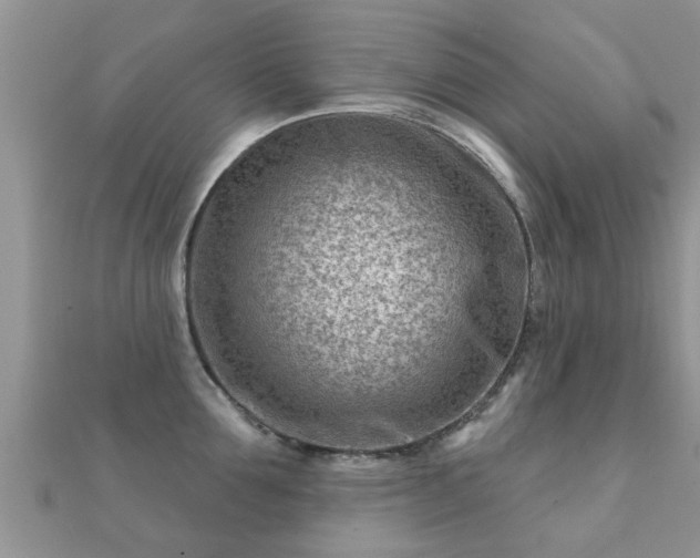 X0000112060907200908111409