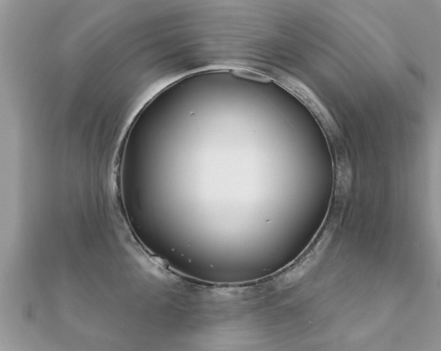 X0000112060908200908111409