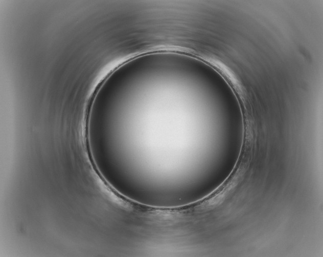 X0000112060910200908111409