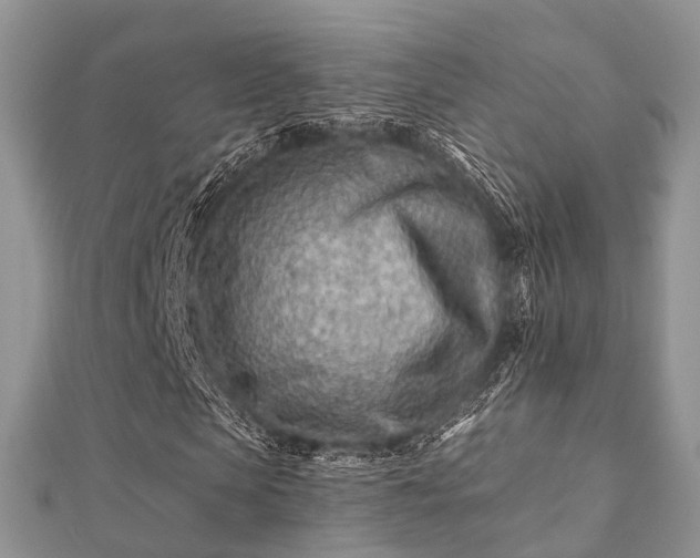 X0000112060913200908111408