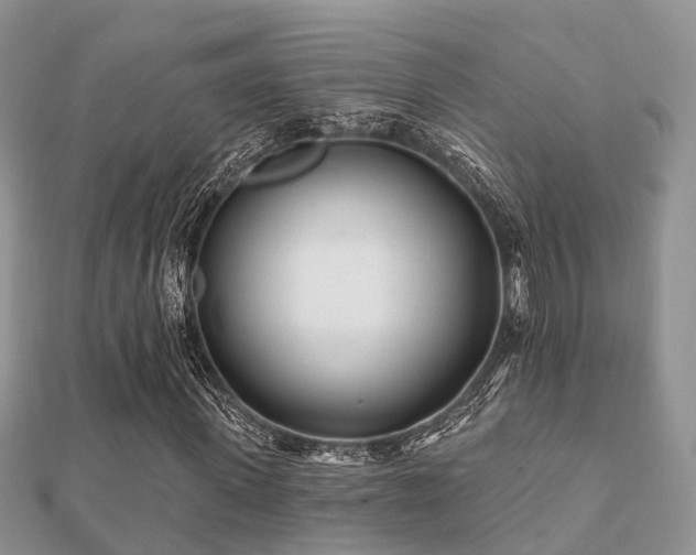 X0000112060915200908111408