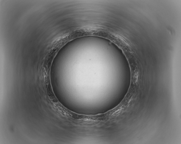 X0000112060917200908111408