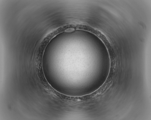 X0000112060919200908111409