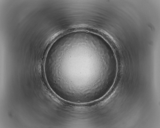 X0000112060921200908111409