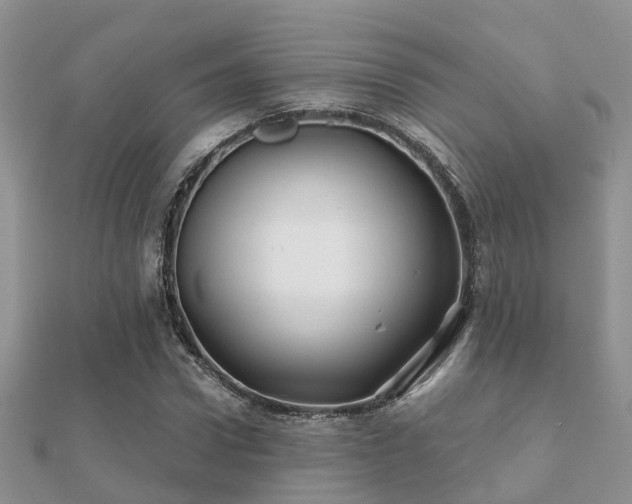 X0000112060922200908111409