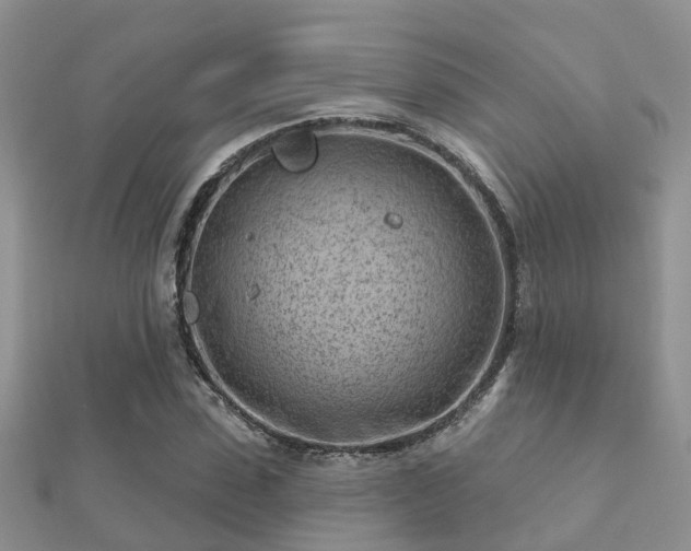 X0000112060923200908111409