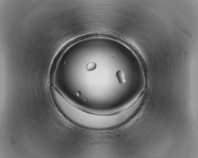 X0000112060924200908111409
