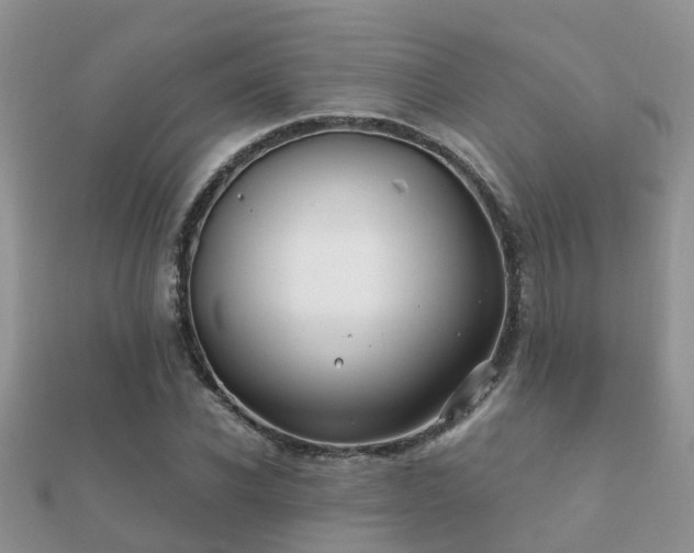 X0000112060926200908111409