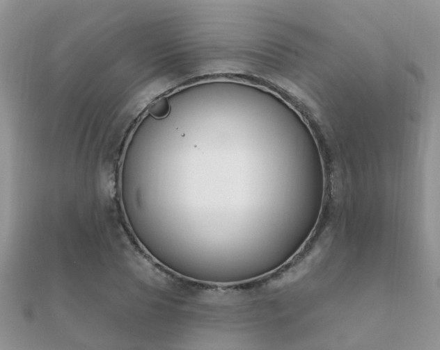 X0000112060929200908111409
