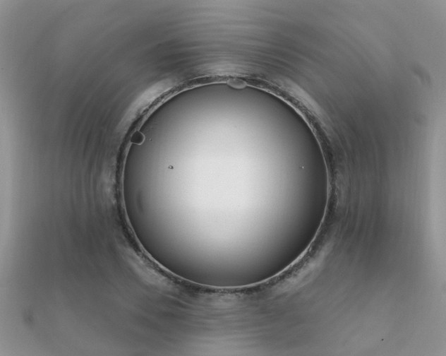 X0000112060930200908111409