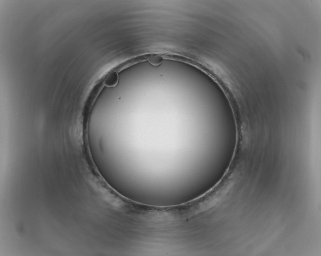 X0000112060931200908111409