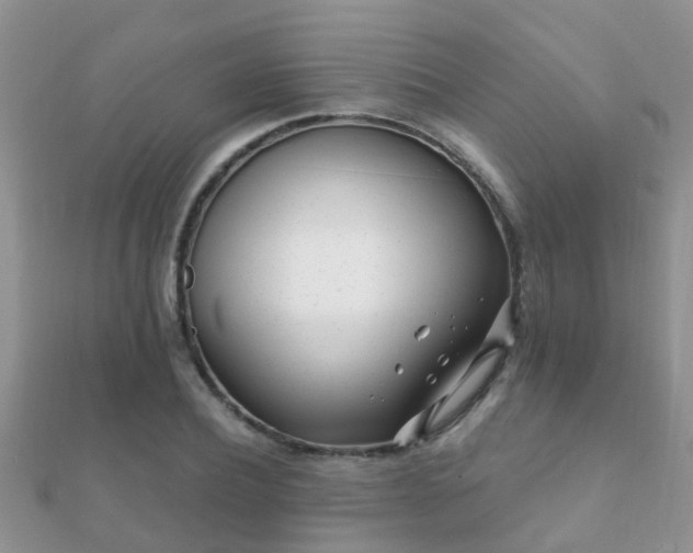 X0000112060932200908111409