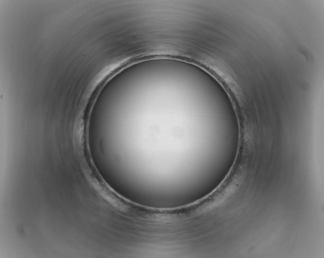 X0000112060933200908111409