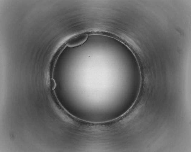 X0000112060934200908111409