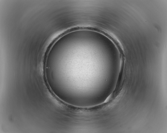 X0000112060935200908111409