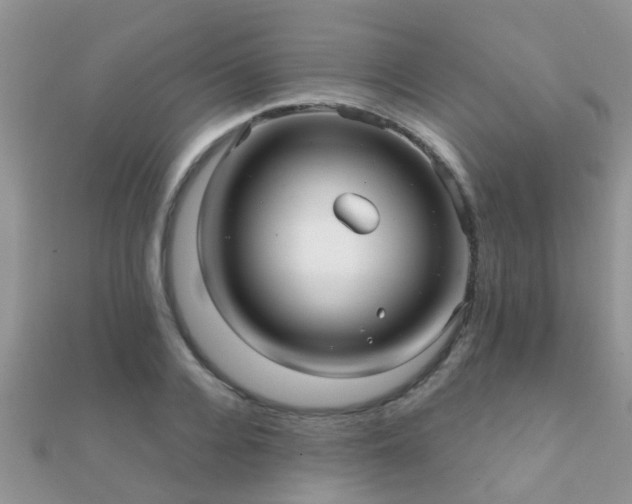 X0000112060936200908111409
