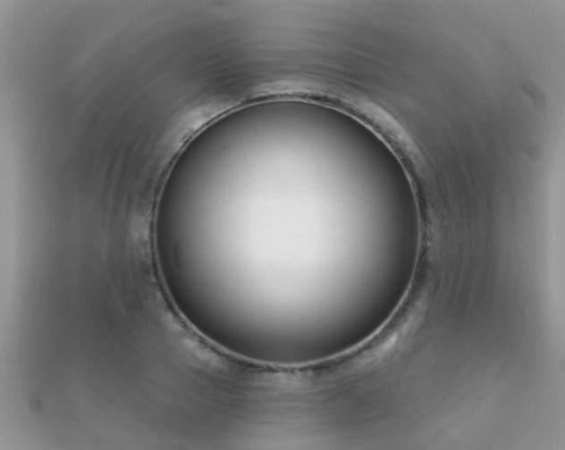 X0000112060937200908111409